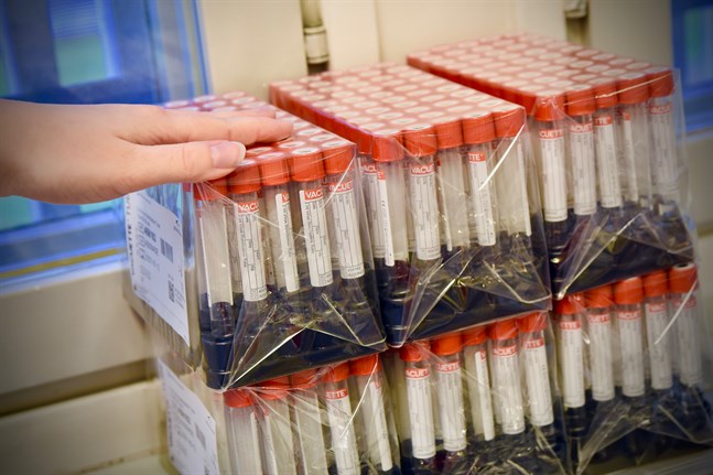 Enligt fredagens uppgifter från Institutet för hälsa och välfärd har sammanlagt 586 dödsfall med koppling till covid-19 rapporterats i Finland.