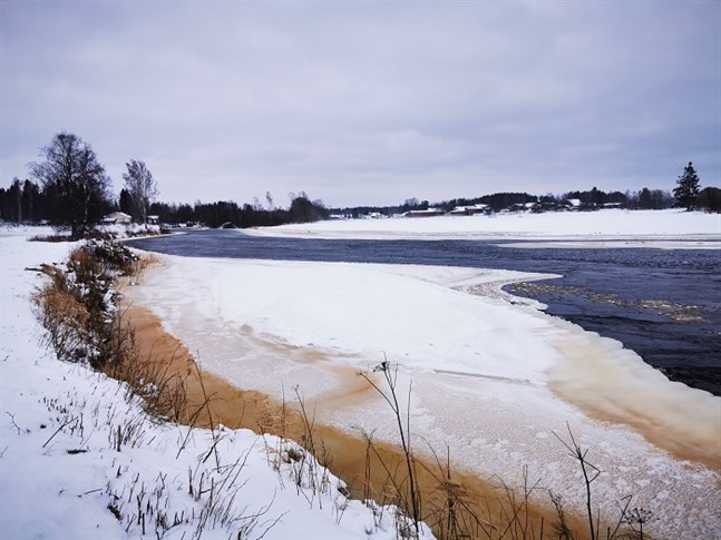 Det kalla och blåsiga vädret har gjort att det har börjat bildas mer kravis vid forsarna i Esse å.