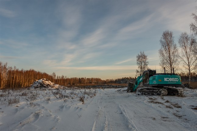 Fladan våtmarksprojekt vid Strandas kroken i Oxkangar.