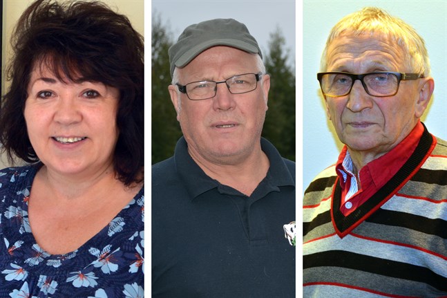 Natalia Kaleva är ny i politiken medan Mats Ingves och Christer Rönnlund är veteraner.