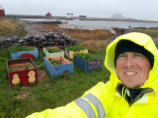 Simon Gripenberg från Jakobstad besökte Lofoten under sensommaren. På bilden syns odlingslådor som elever på Røst har byggt. I bakgrunden Stavøya.