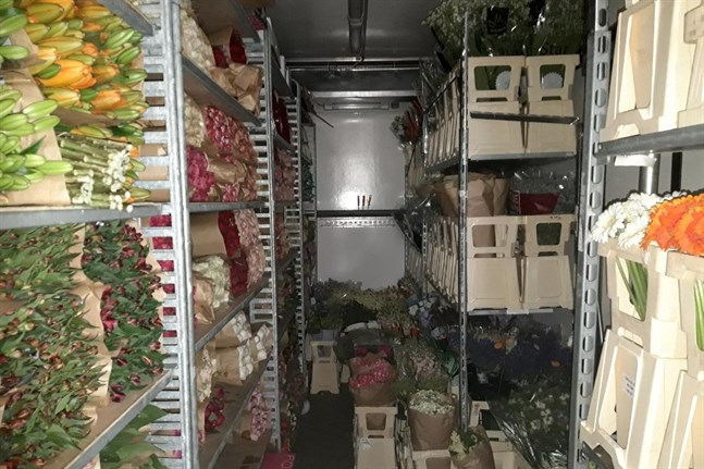 Drogpartierna transporterades från Nederländerna till Finland i till synes oskyldiga tulpanförsändelser.