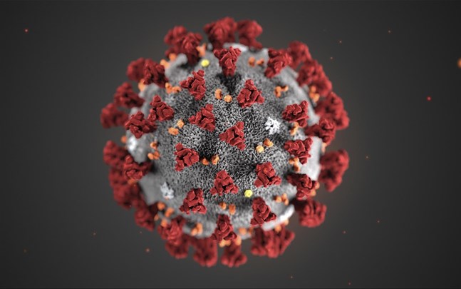 En handfull av de knappt 90 vaccinkandidater mot covid-19 som testas i tidiga djurförsök utvecklas av svenska forskare.
