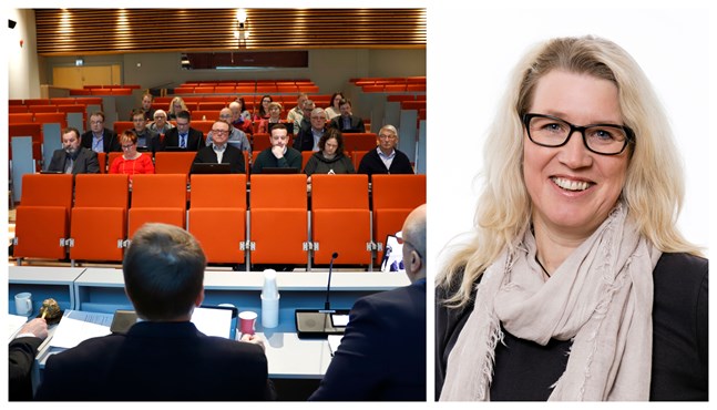 En stor del av ledamöterna har deltagit flitigt i fullmäktigemötena. Ersättaren Micaela Kullas hör också till dem. Hon har varit behövd på många möten.