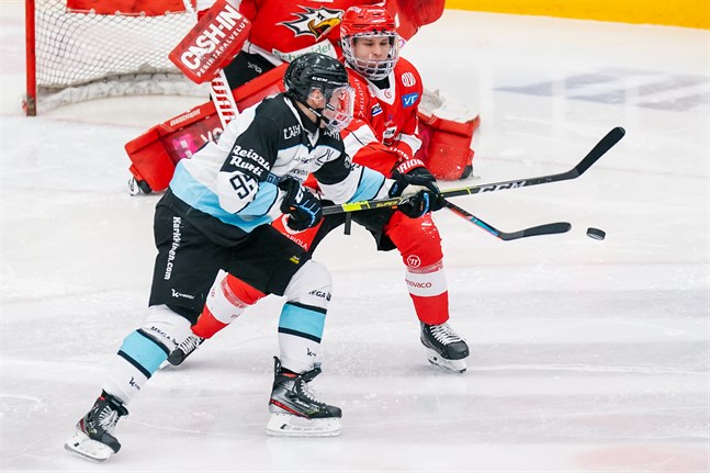 Aleksi Mäkelä spelar i Mestis den här veckan.