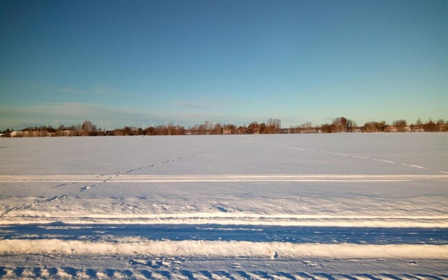 Vargar i Övermark närmade sig bebyggelsen under veckoslutet. På bilden tagen i lördags syns spår av varg.