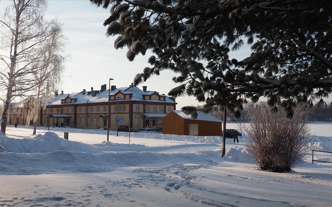 Det yttersta materialet är ett stålnät som hindrar klotter. Viljan är att servicehuset ska se ut som en tydligt fristående byggnad, och inte något som smälter in med tullpackhuset.