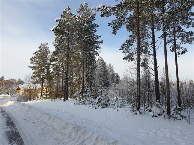 Det är inte de placerade barnens fel att de placeras långt bort från sin uppväxtmiljö och sina anhöriga, skriver Harri Moisio i sin insändare. Tomten vid Råviksvägen i Gerby-Västervik är reserverad för en barnskyddsenhet.