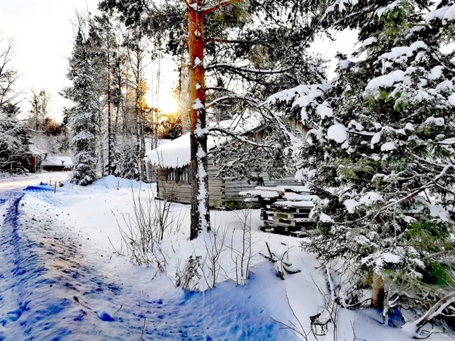 Vintrigt så det förslår i Sommarback i Pörtom.