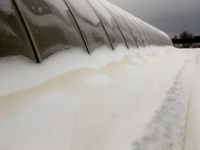 På Per-Erik Forsströms foto syns den gula snön tydligt. Växthuset står i Övermark.