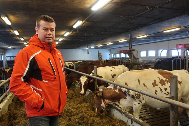 Tony Vestö, sekreterare i ÖSP-avdelningen i Kronoby, anser att kommunalveterinären borde finnas i Kronoby eller Karleby centrum.