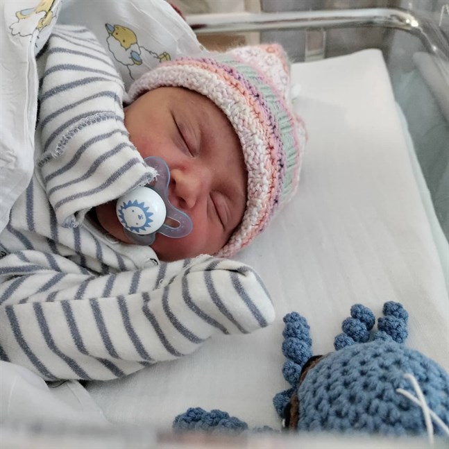 Lilla gossen Hästbacka hade bråttom till världen.