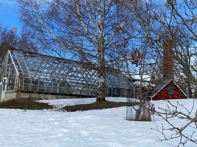 Den gamla växthusanläggningen, granne med Zachariasskolan, ska rivas. Växthuset som tidigare tjänade stadsträdgården har under lång tid varit ur bruk. Som svar på fasadsynegranskarnas anmärkningar åtgärdas problemen med rivning.