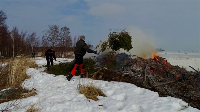 Kim Backström och Frej Lindfors matar ris på Replot UF:s påskbrasa redan på lördagen. I bakgrunden skymtar ordföranden Jenny Backström som filmade och fotade.