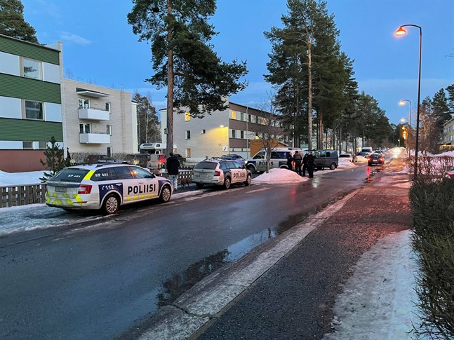 Efter händelser i mars i Sveden greps de bägge männen i våras. Nu sitter de frihetsberövade igen, för att hindra dem från att begå fler brott.