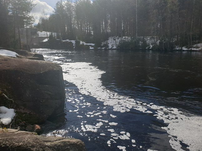 Vårflödet i Kattilakoski i Esse å.