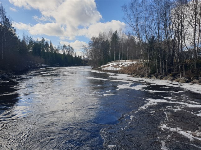 Frågan om fiskvägar vid Esse å har aktualiserats.