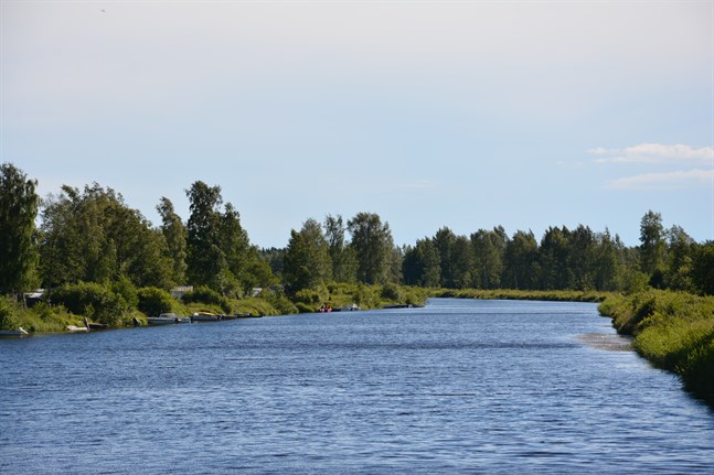 På ett nästan två kilometer långt avsnitt, från Aborrgrund i närheten av båthusen ner till åmynningen, ska muddringen ske. Nu har tillstånd beviljats.