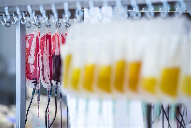 Forskare på Karolinska institutet studerar om blodplasma från redan sjuka i covid-19 som också fått vaccin kan ge god behandlingseffekt mot covid-19. Arkivbild.