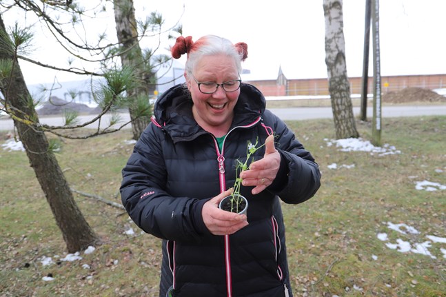 Kati Källmans intresse för odling går tillbaka till barndomen då hon fick odla med mamma och mormor.