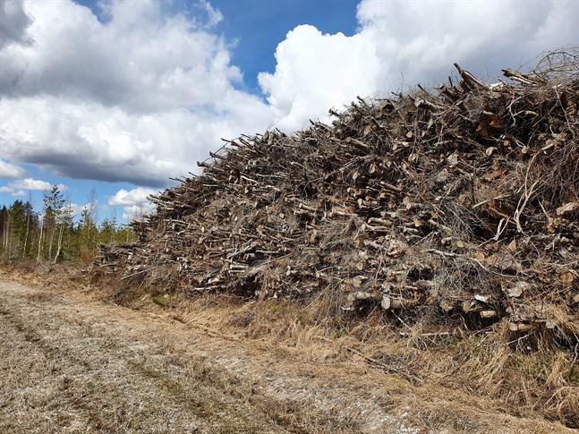 Energiveden är en sidoprodukt, påpekar Niclas Sjöskog.