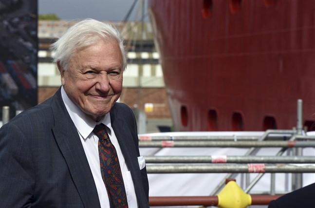 David Attenborough fyller 95 år på lördagen. Arkivbild.