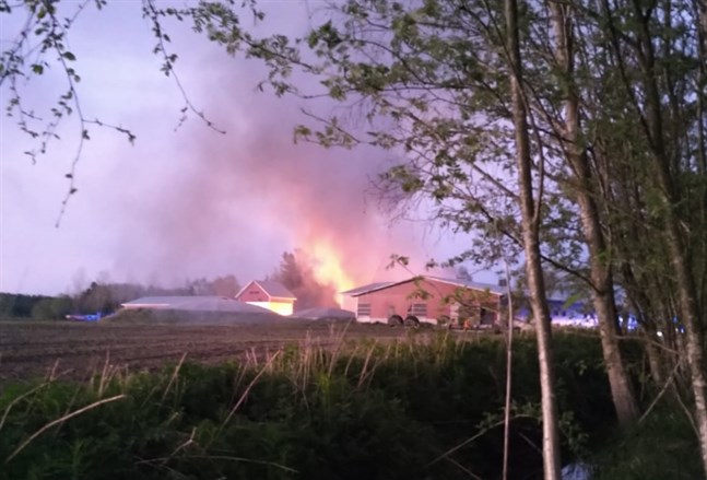 Natten till torsdagen utbröt en brand vid en svinfarm på Bjärkbondtåge i Kronoby.