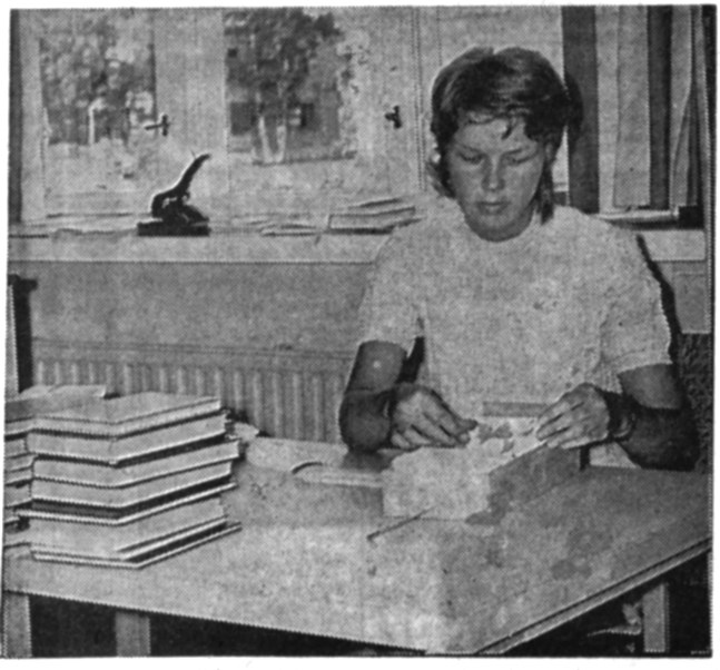 Stud. Siw Mannfolk vikarierar under sommarmånaderna på huvudbiblioteket i Närpes.