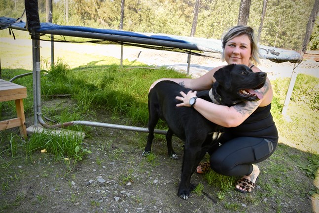 En död råtta hittades under familjens trampolin. I början grävde Jessica Hietaharju ner kadavren i trädgården men hunden Neela grävde upp dem igen. – Nu sätter vi kadavren i avfallskärlet, vilket vi kollat att man får. Men blir mängderna större kanske det kommer en gräns emot.