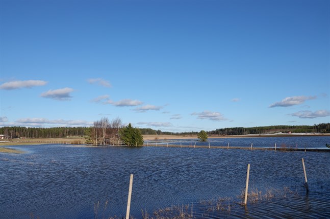 Smältvattnet ledde till översvämmade åkrar under våren, vilket gjorde att många jordbrukare fick ändra årets odlingsplaner. Bilden är från Österbotten.