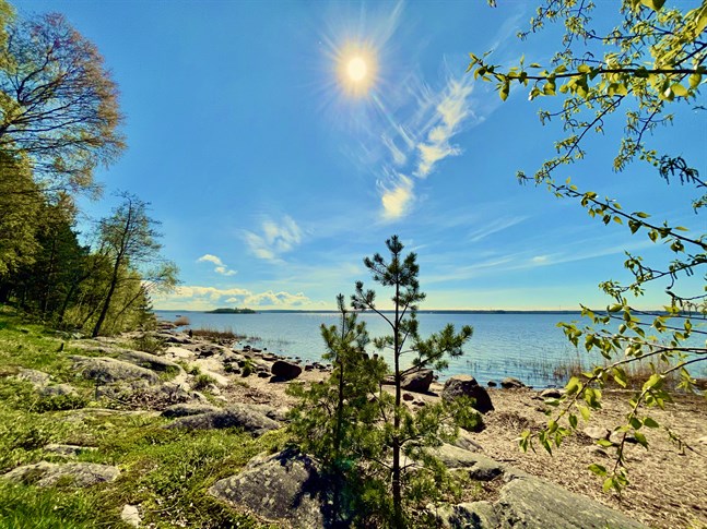 Utomordentligt midsommarväder utlovas till helgen.