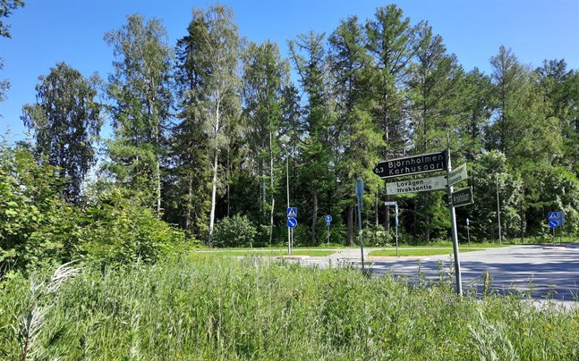 Det var i Björnholmen i Jakobstad som det blodiga våldsdådet skedde på midsommardagens kväll.
