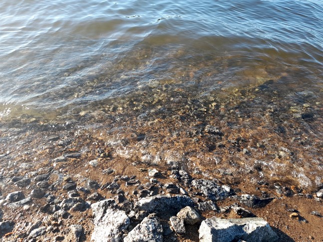 Förhöjda bakteriehalter stänger Ytteresse och Lappfors badstrand.