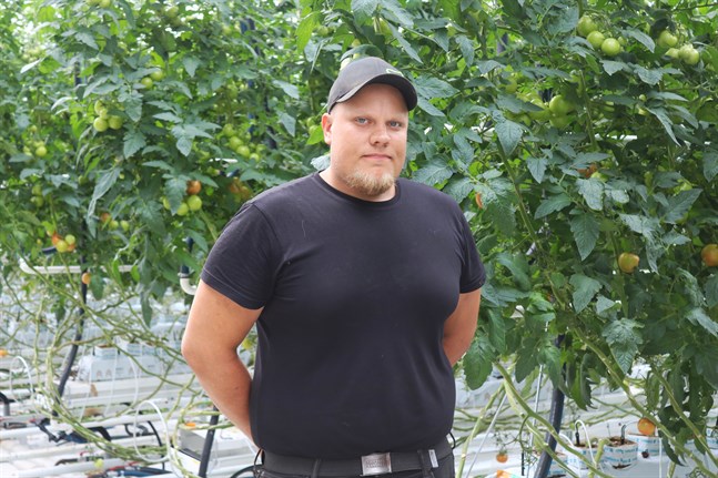 Pörtombon Alexander Österlund är tredje generationens växthusodlare. Det har ändå inte alltid varit en självklarhet för honom att satsa på växthusodling.