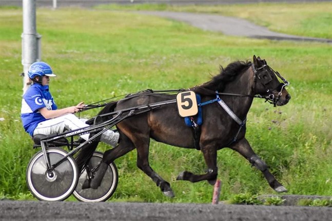 Amanda Ljung deltog med sitt gottlandsruss Bleckward CC i Tammerfors.