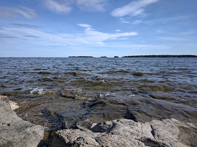 För tillfället förekommer vibriobakterier i hög grad i så gott som hela Östersjön.