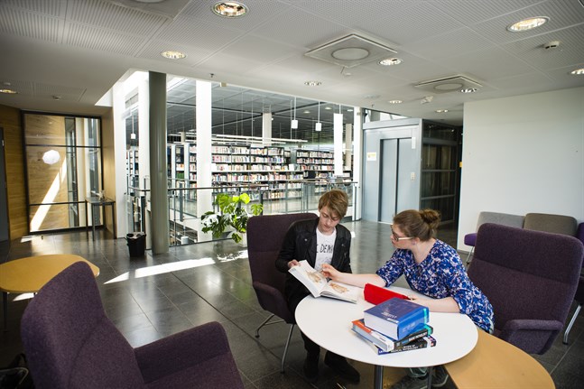 Den nya psykoterapiutbildningen, som Finlands Svenska Psykoterapiförening inleder i samarbete med Helsingfors universitet, ska locka studerande från hela Svenskfinland.