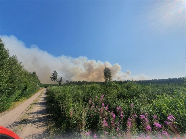 Sammanlagt deltog 24 räddningsenheter i släckningsarbetet under måndagskvällen och natten till tisdag.