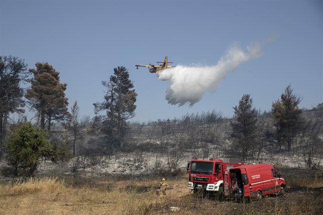 Ett plan släpper vatten över en skogsbrand i området Dionysos, en förort till Aten.