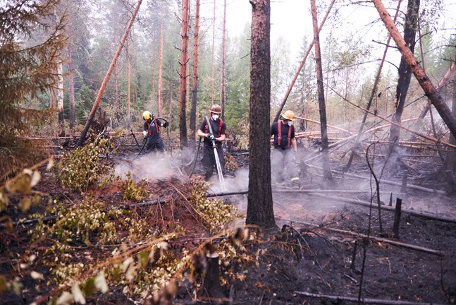 Röken stiger upp från marken lite överallt, och på varje sådan plats kan lågorna flamma upp igen. Alexander Henriksson, Kristoffer Bergvik och Peter Bäck ser till att skogsbranden inte får fart igen.