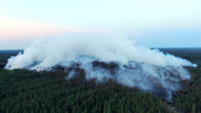 Drygt 300 hektar har brunnit i Kalajoki sedan i måndags. Också 1970 drabbades Kalajoki av en stor skogsbrand, då brann hela 1 600 hektar.