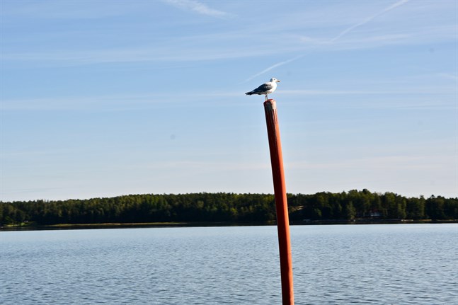 Ostadigt i början av veckan, klarare mot slutet. Så verkar kustvädret bli.