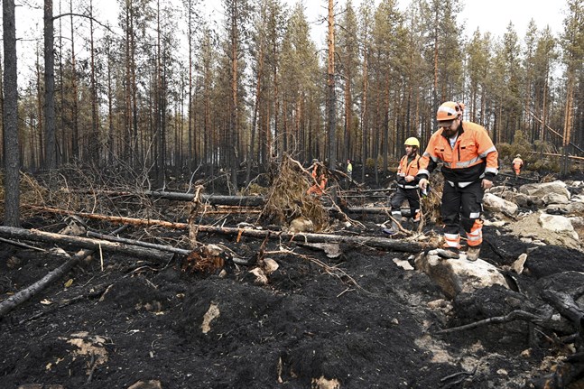 Den stora markbranden i Kalajoki har pågått i över en vecka. Fortfarande pågår släckningsarbete i området.