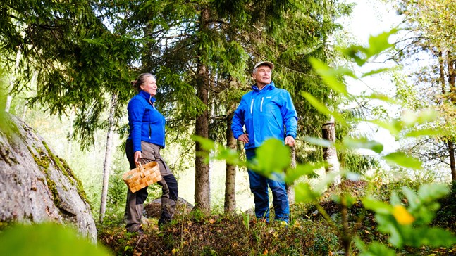 Anita Storm och Mårten Lövdahl jobbar med skogen på olika sätt. De skulle inte kunna tänka sig ett liv utan naturen.