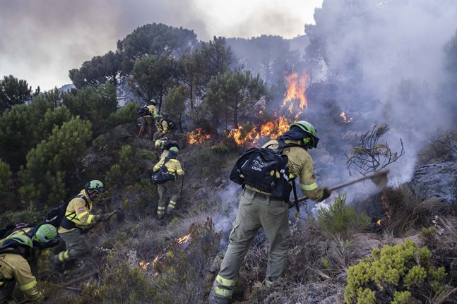 Brandmän bekämpar den stora branden i provinsen Málaga i Spanien. Bilden togs i lördags.