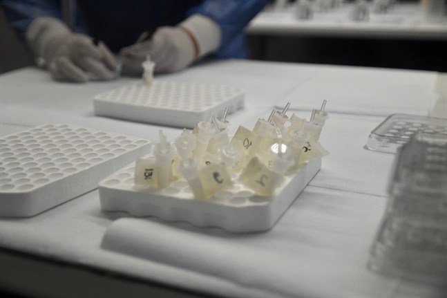 I de fall i Harjavalta där smittan konstaterats med snabbtest ska man under veckan bekräfta resultatet med mer tillförlitliga PCR-test.