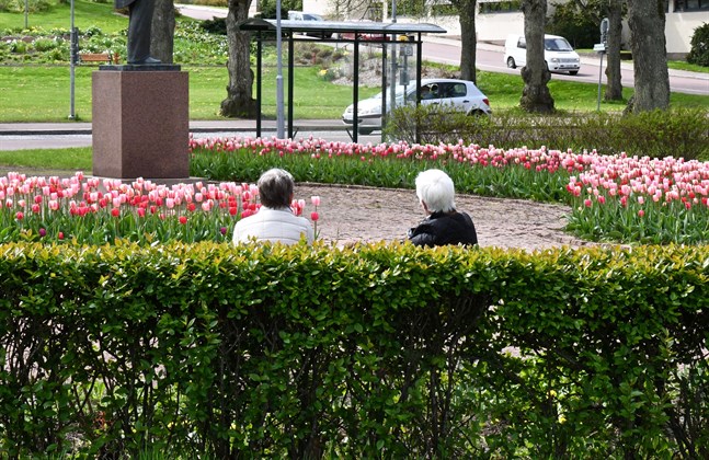 Pensionssystemet i Finland motarbetar fattigdom effektivt och förser pensionärer med en skälig utkomst, konstaterar danske professorn Torben M. Andersen vid Århus universitet.