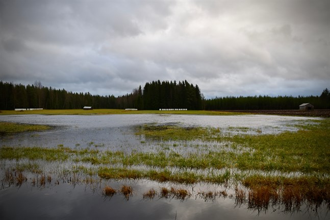 Regn i väst, växlande molnighet i söder och uppehåll i norr – det är prognosen för torsdag.