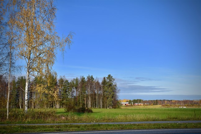 I Österbotten kan det vara upp till 16 grader varmt på måndag, enligt Meteorologiska institutet. Arkivbild.