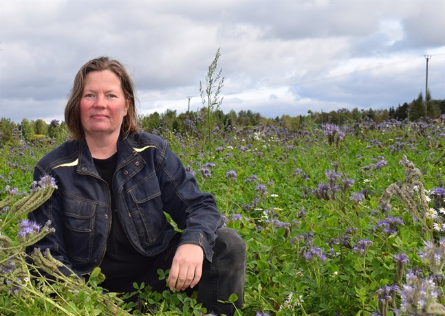 Pauliina Holmqvist mitt i en landskapsåker som är en form av kolinlagring.